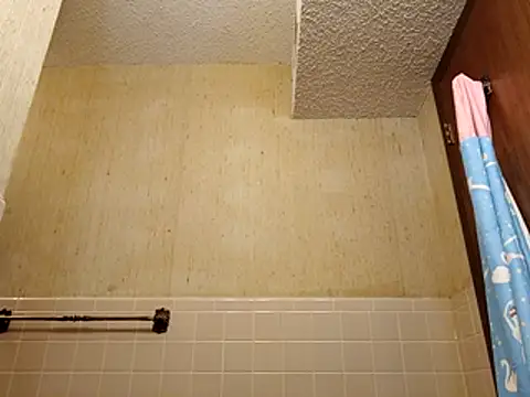 HexedPortrait online show from April 23, 2:46 am