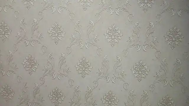 Snapshot of DelicaBrome chatting on July 19, 1:15 pm DelicaBrome online show from July 19, 1:15 pm