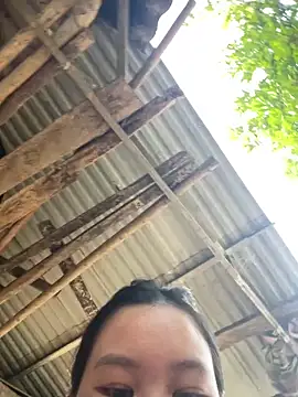 Swan 69 online show from April 21, 9:59 am