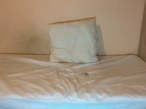 crazytranny online show from January 18, 9:24 pm