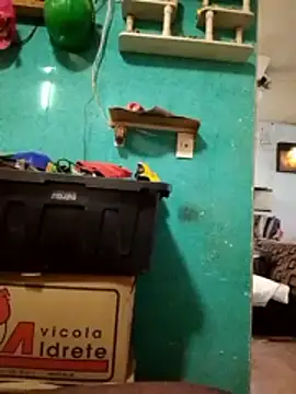 Josefue online show from April 30, 1:28 pm
