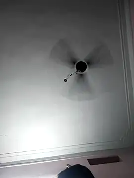 telugu pillapreethi online show from April 30, 4:35 pm