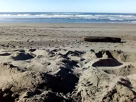 dog-naked online show from January 22, 10:26 pm