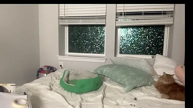 Snapshot of maddiliz chatting on September 15, 1:49 am maddiliz online show from September 15, 1:49 am