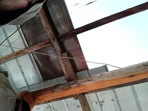 robredoj online show from February 7, 12:31 pm