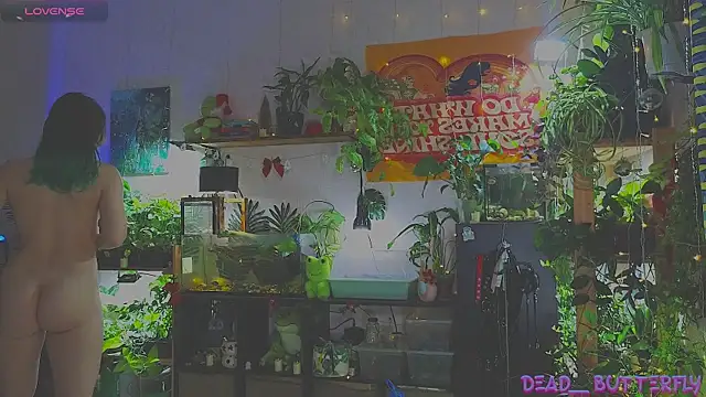 Snapshot of Dead_Butterfly chatting on January 12, 3:28 am Dead Butterfly online show from January 12, 3:28 am