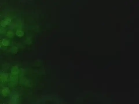 lonelycock33 online show from November 7, 9:48 pm