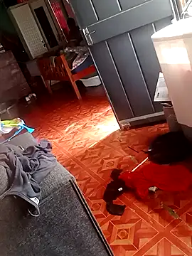 Snapshot of 2soyte chatting on September 26, 8:29 am 2soyte online show from September 26, 8:29 am