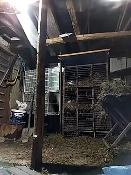 sarpe4 online show from March 2, 4:58 pm