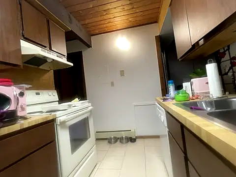 odbodu online show from November 14, 6:06 pm