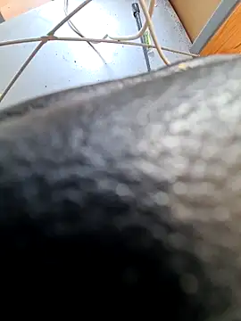 PetePro1989 online show from April 8, 12:49 pm