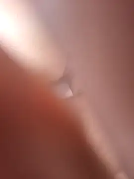 Bull8 online show from April 19, 8:24 am