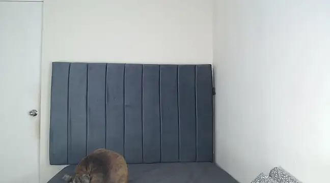 Chanelsexyy online show from March 6, 11:53 pm