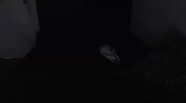 Chanelsexyy online show from March 16, 8:43 pm