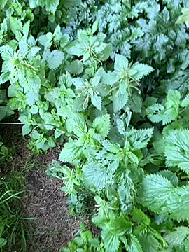 curcuro online show from February 27, 4:07 pm