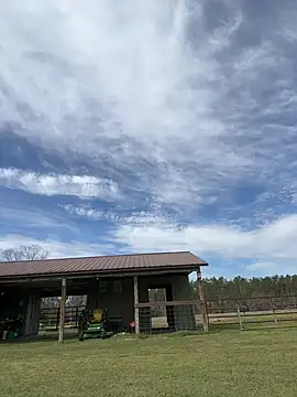 Snapshot of Sitonmyface2020@xh chatting on March 3, 3:53 pm Sitonmyface2020xh online show from March 3, 3:53 pm