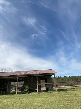 Snapshot of Sitonmyface2020@xh chatting on March 3, 10:10 pm Sitonmyface2020xh online show from March 3, 10:10 pm