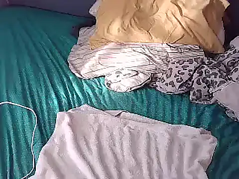 Snapshot of k-dong chatting on December 13, 2:27 pm k-dong online show from December 13, 2:27 pm