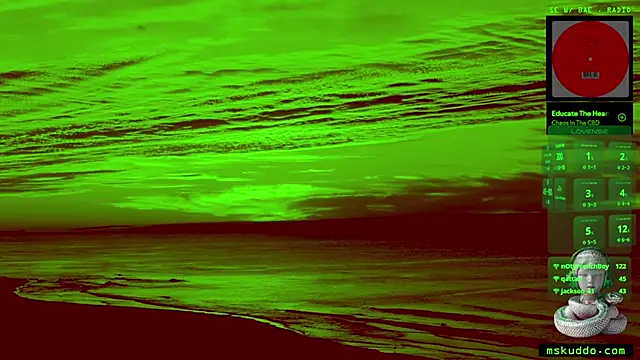 Snapshot of mskuddo chatting on March 1, 2:48 am mskuddo online show from March 1, 2:48 am