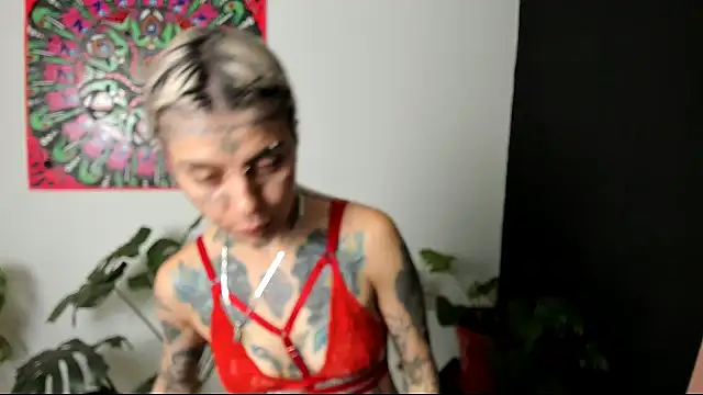 handipandapok online show from March 9, 3:22 am