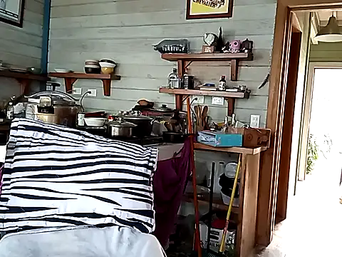 Snapshot of Luna-Natural chatting on January 5, 8:31 pm Luna-Natural online show from January 5, 8:31 pm