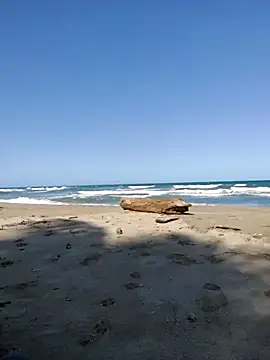 Snapshot of Luna-Natural chatting on November 8, 6:18 pm Luna-Natural online show from November 8, 6:18 pm