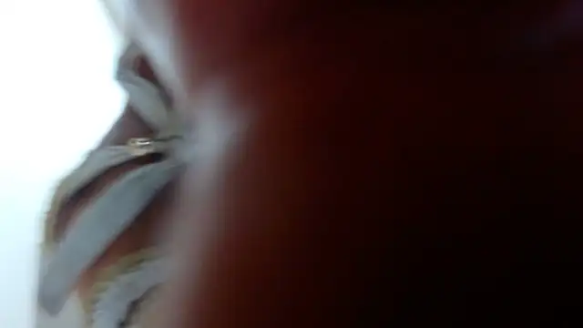 Ixchel Anaid online show from March 14, 12:10 am