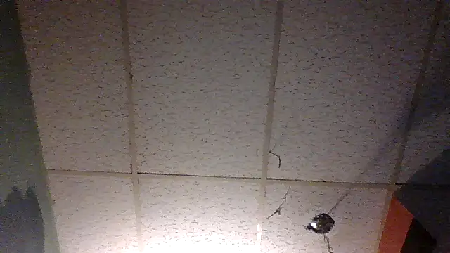 moipipi2 online show from December 7, 4:31 am