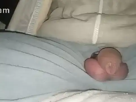 Snapshot of Bigdick666cm chatting on February 2, 3:43 am Bigdick666cm online show from February 2, 3:43 am