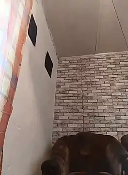 Cerd Ayaz online show from September 16, 9:32 am