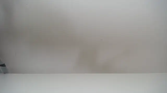 Snapshot of salomecastro_ chatting on November 19, 6:30 pm salomecastro online show from November 19, 6:30 pm