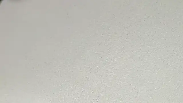 yodaModel1 online show from February 6, 10:15 am