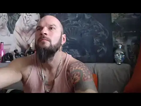 viking 30 online show from February 5, 9:46 am