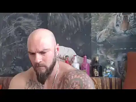 viking 30 online show from December 16, 11:04 am