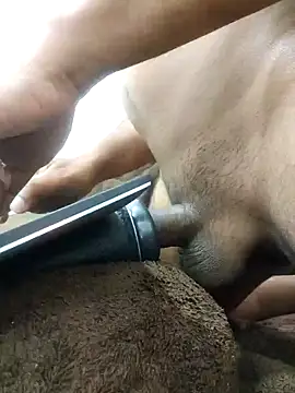 indianbulldelhi online show from January 27, 7:45 am