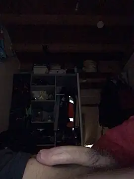 Chris-LE91 online show from January 15, 3:55 am