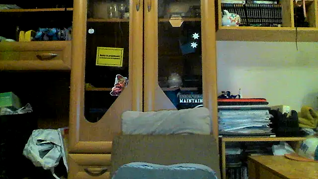 Snapshot of FireFox_Feel chatting on March 20, 8:29 pm FireFox Feel online show from March 20, 8:29 pm