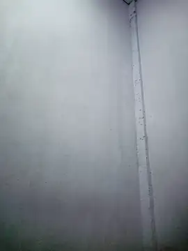 Snapshot of TropicalFlower chatting on December 16, 10:31 am TropicalFlower online show from December 16, 10:31 am