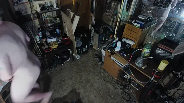 Snapshot of sex4fun_21 chatting on March 12, 4:41 am sex4fun 21 online show from March 12, 4:41 am