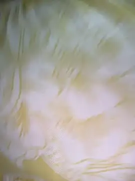 Snapshot of Dhiyapink chatting on December 2, 6:41 am Dhiyapink online show from December 2, 6:41 am