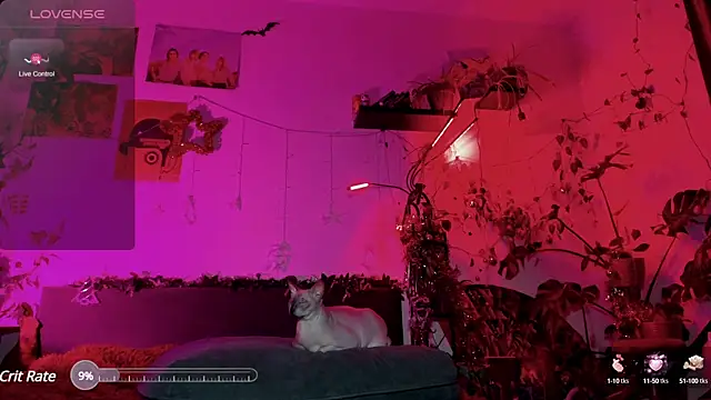 olivecum online show from January 20, 4:01 pm