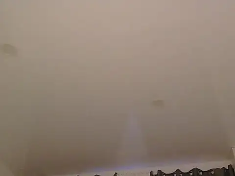 LionEdwin online show from December 20, 7:37 am