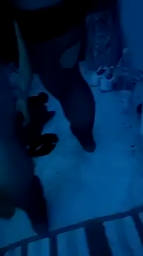 Snapshot of Misspadrona88 chatting on December 13, 10:37 pm Misspadrona88 online show from December 13, 10:37 pm