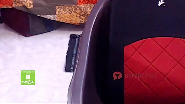 Novapol online show from February 9, 10:31 am