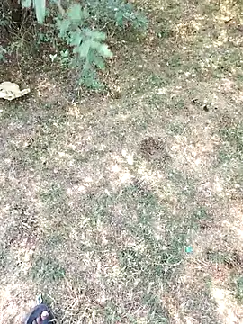 rameshmry1 online show from March 29, 5:29 am