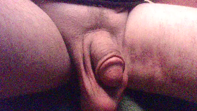 SDtinycok online show from September 20, 11:55 am