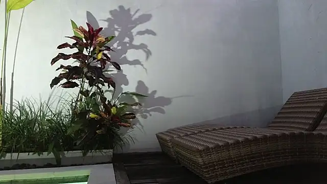 Snapshot of TammiLou chatting on March 6, 10:52 am TammiLou online show from March 6, 10:52 am