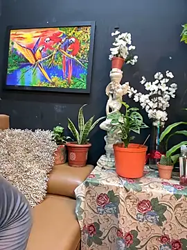 Snapshot of uma_patna000 chatting on December 31, 8:26 am uma patna000 online show from December 31, 8:26 am