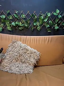 Snapshot of uma_patna000 chatting on January 12, 9:51 pm uma patna000 online show from January 12, 9:51 pm