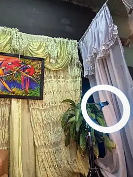 Snapshot of uma_patna000 chatting on February 4, 7:51 am uma patna000 online show from February 4, 7:51 am